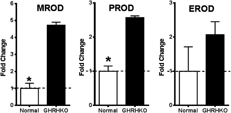 Figure 4—figure supplement 2.