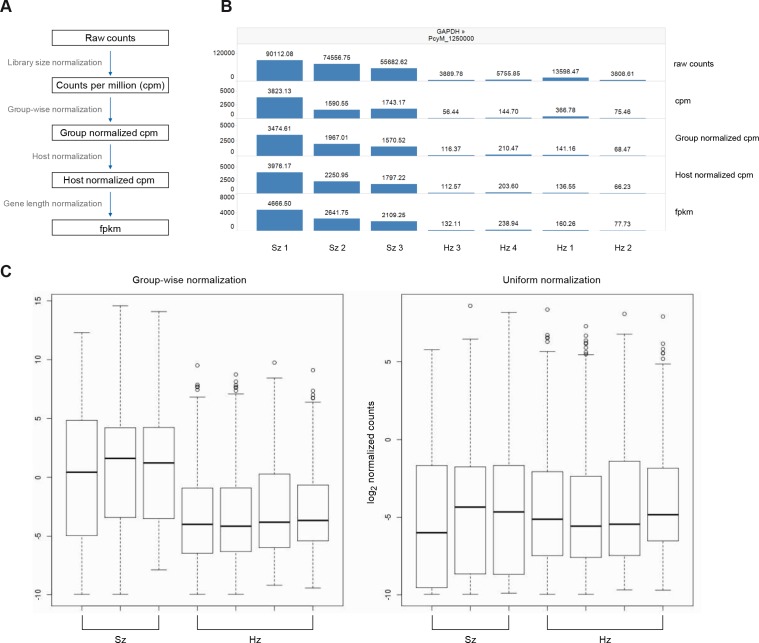 Figure 1—figure supplement 3.