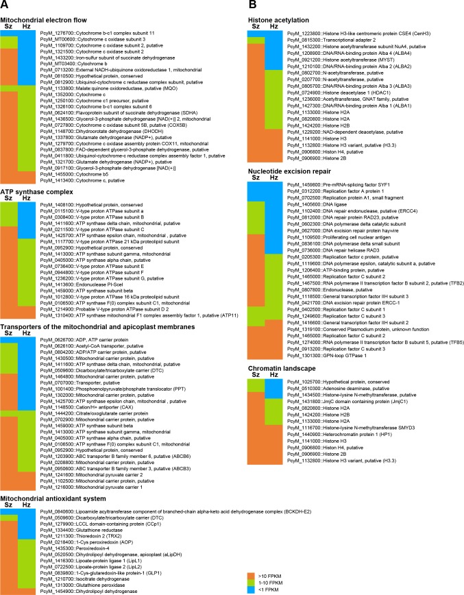 Figure 3—figure supplement 1.