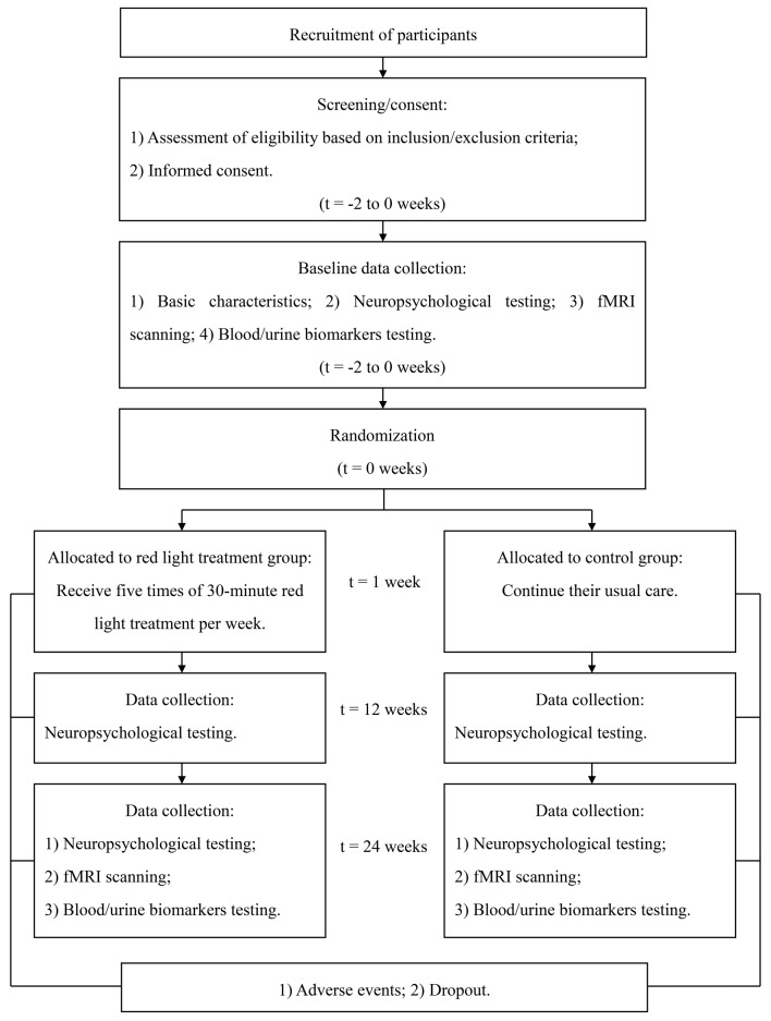 Safety and Efficacy of 630-nm Red Light on Cognitive Function in Older ...