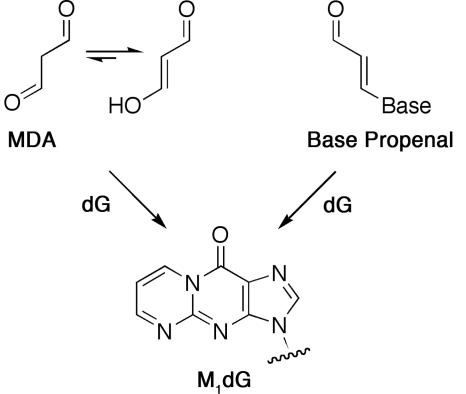 Scheme 1.