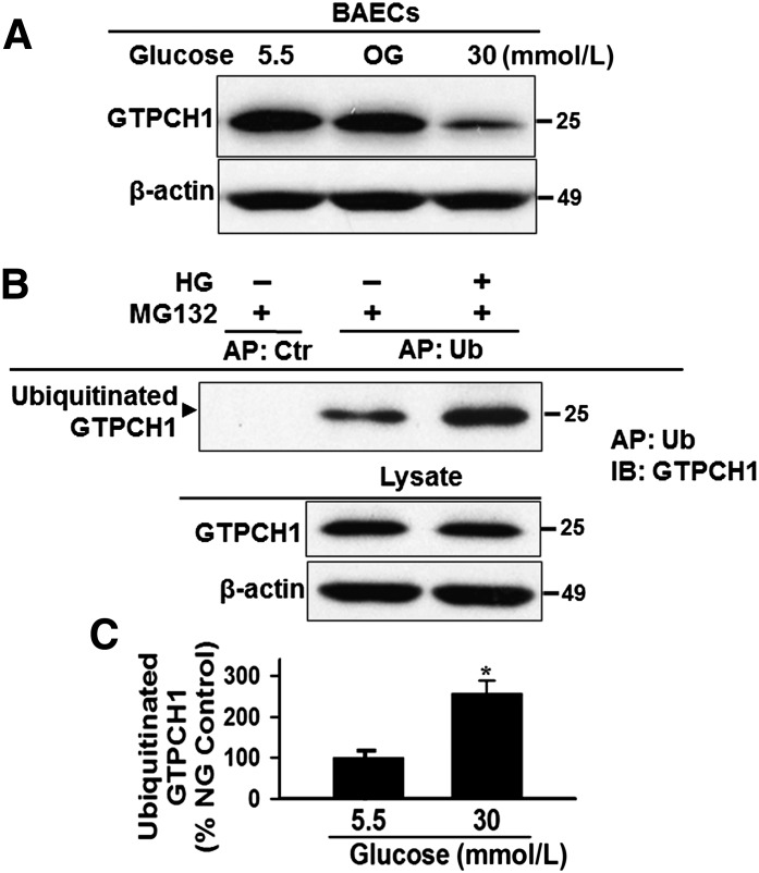 FIG. 6.