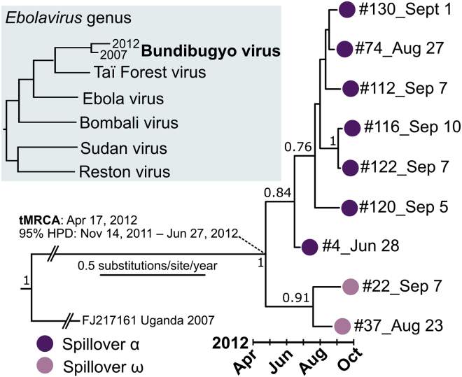 Figure 2