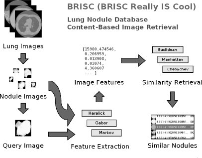 Fig 2