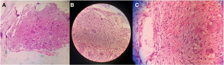 Figure 4.