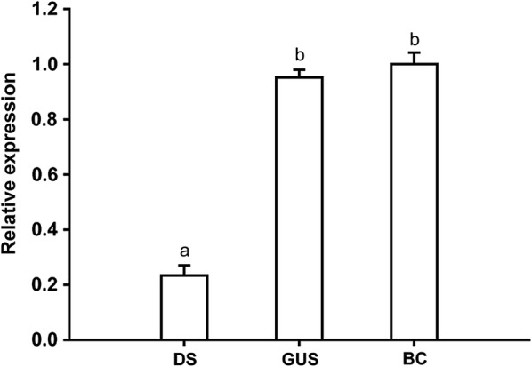 Fig. 4