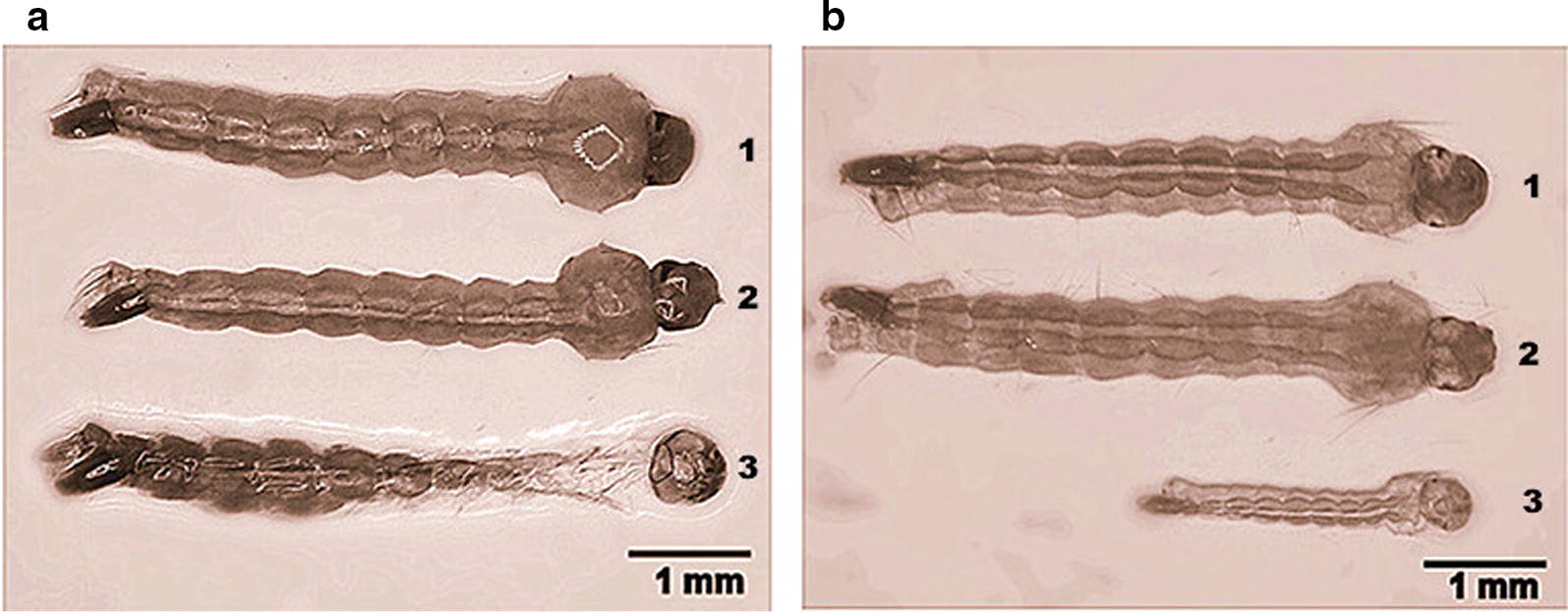 Fig. 3