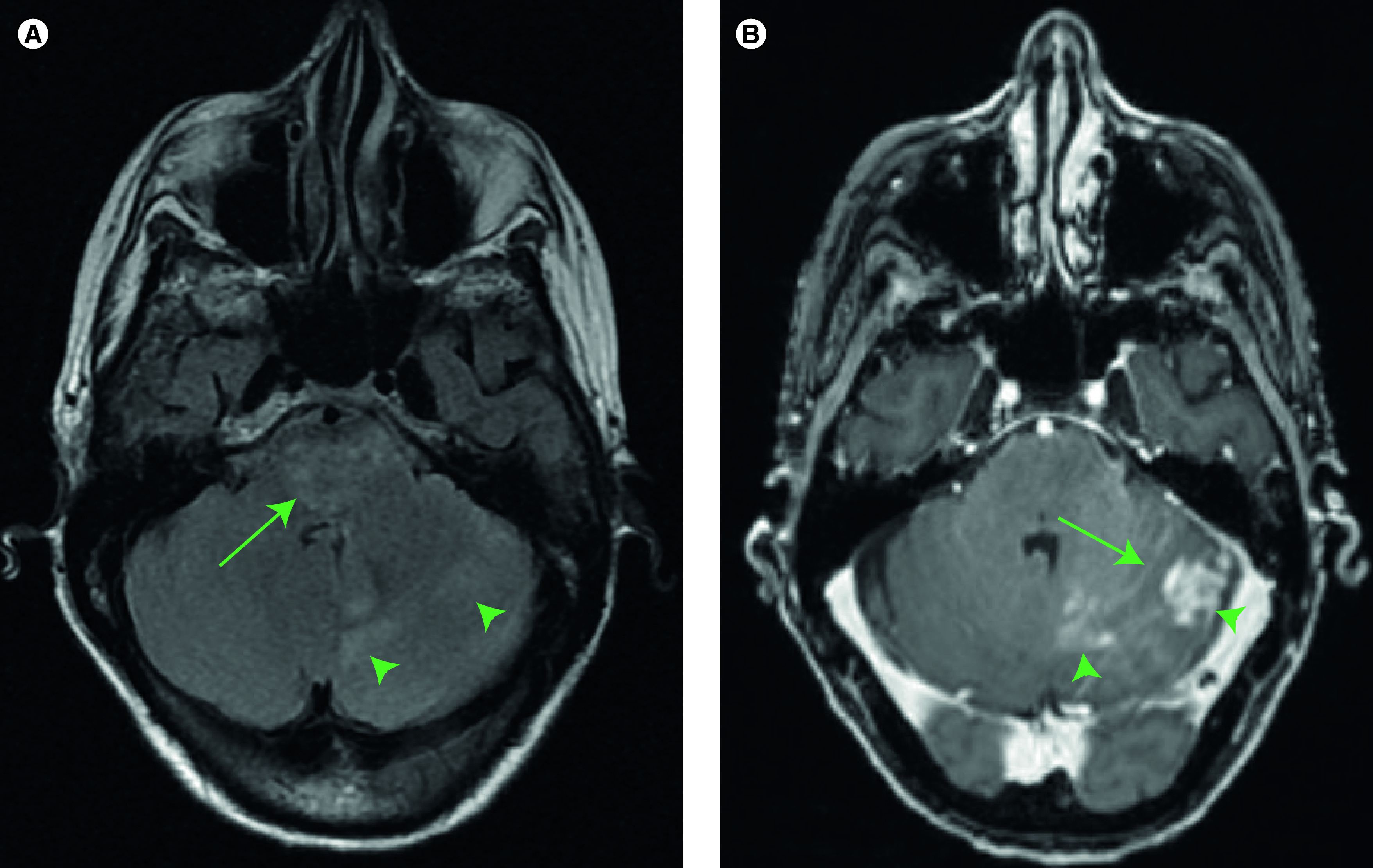 Figure 1. 