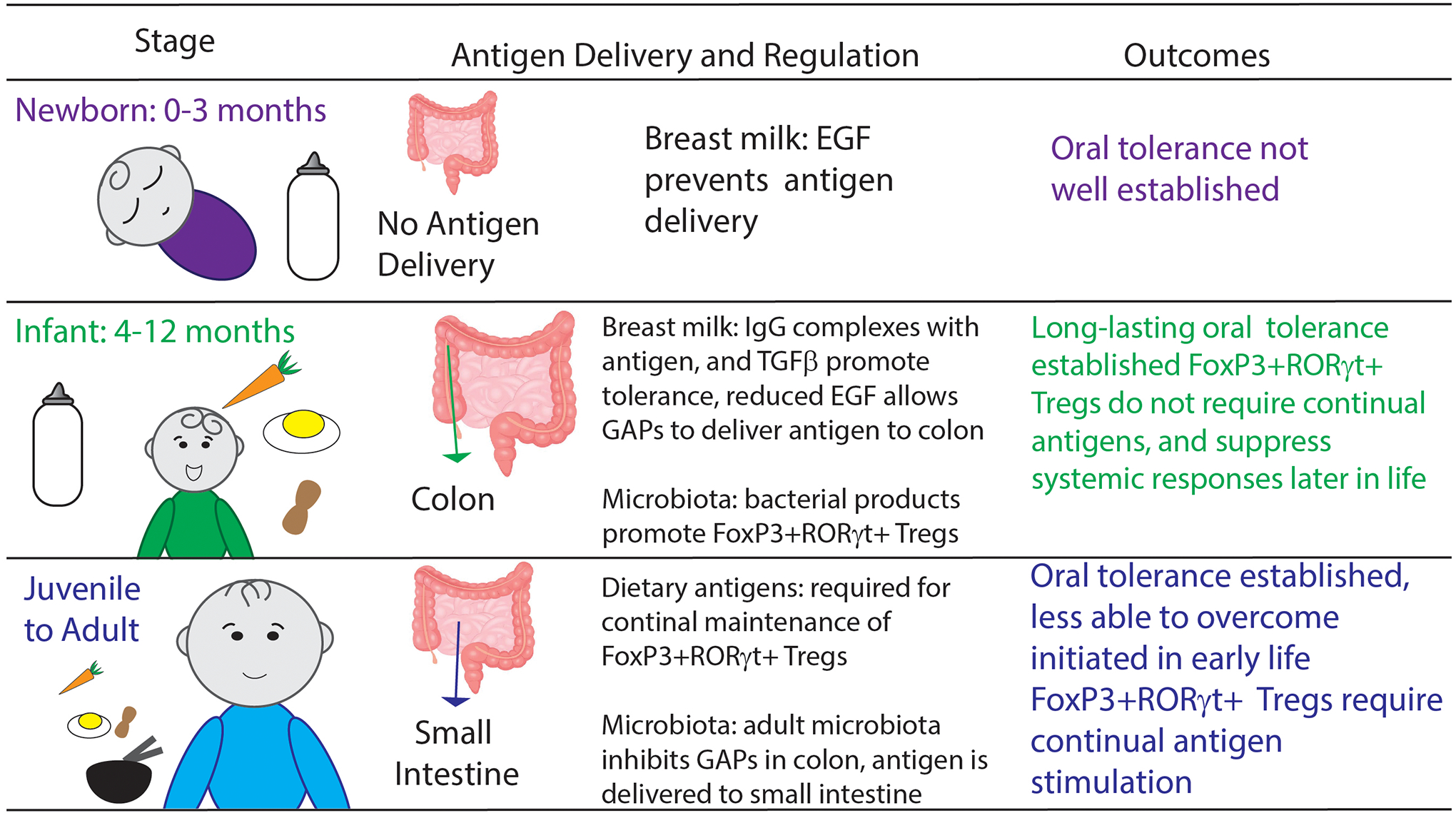 Figure 1: