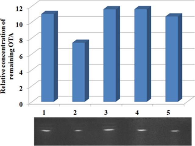 FIG. 6.