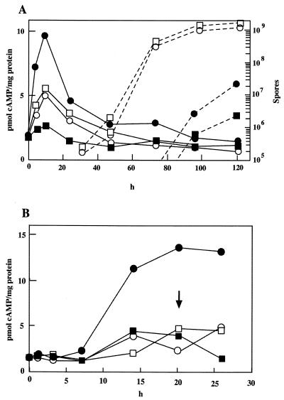 FIG. 7.