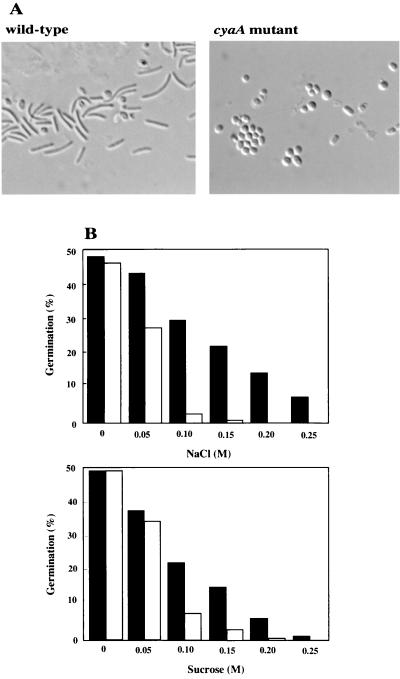 FIG. 5.