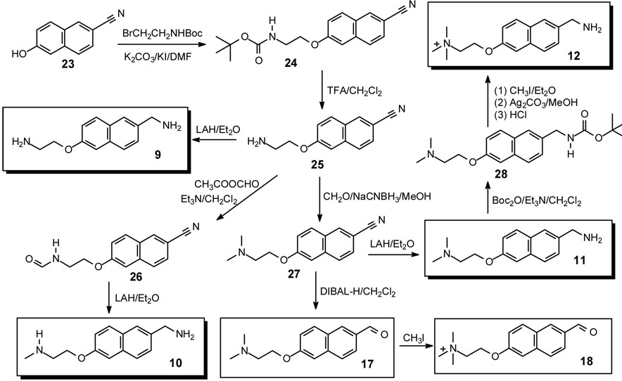 Scheme 2