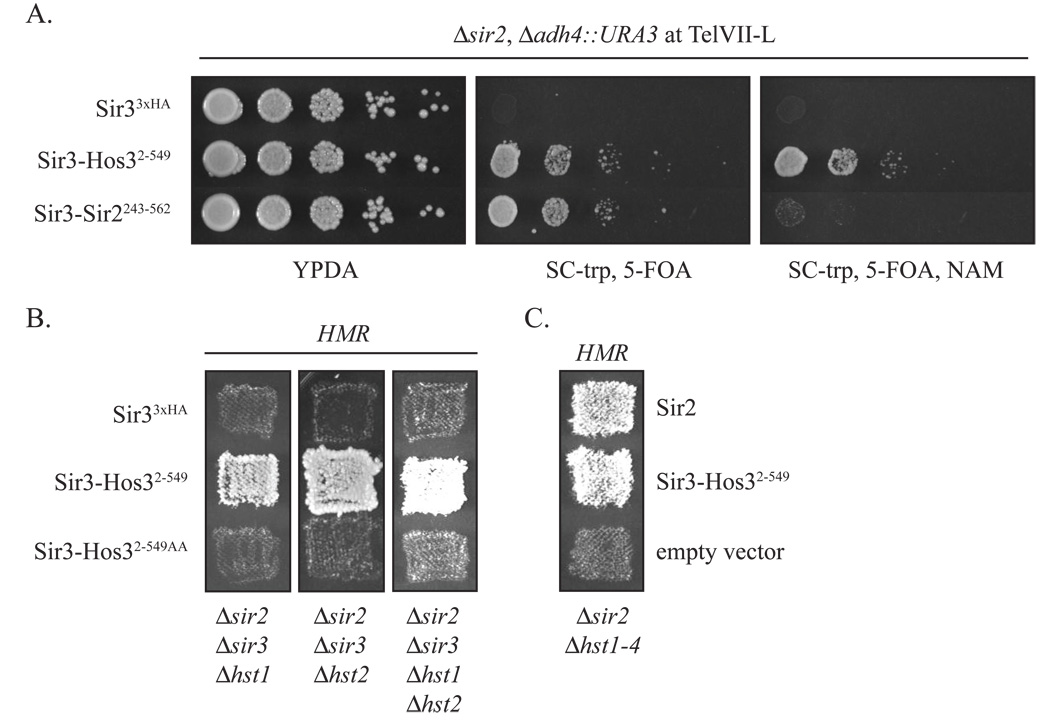 Figure 6