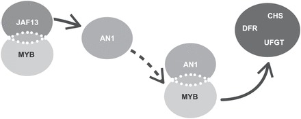 Fig. 7.