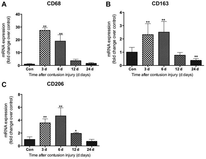 Figure 3.