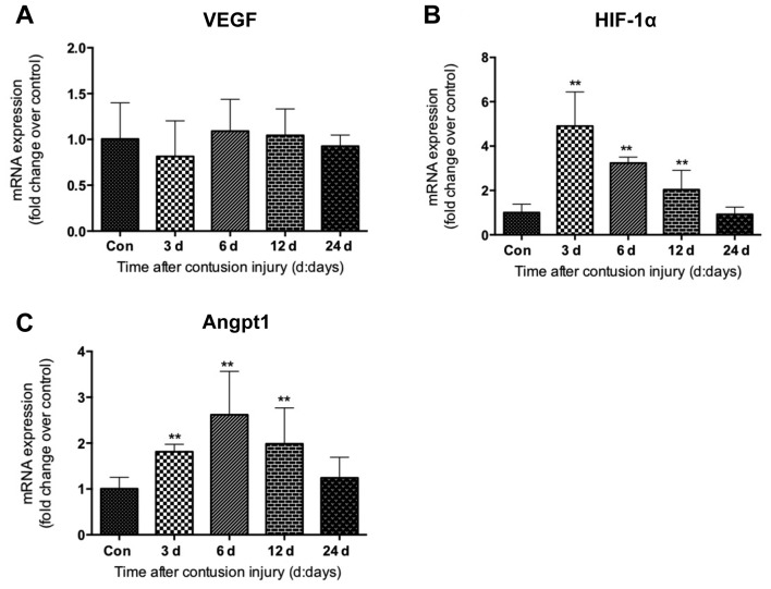 Figure 6.