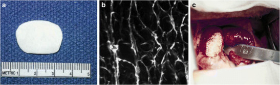 Fig. 8