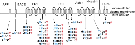 Fig. 1.