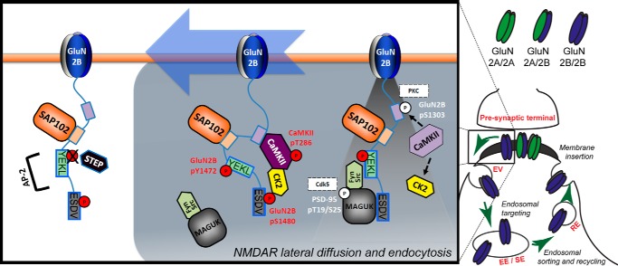 FIGURE 4.