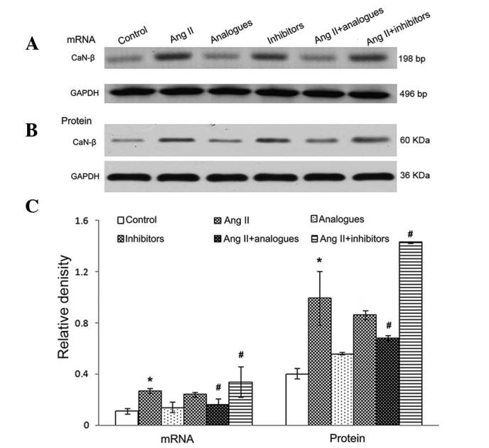 Figure 7.