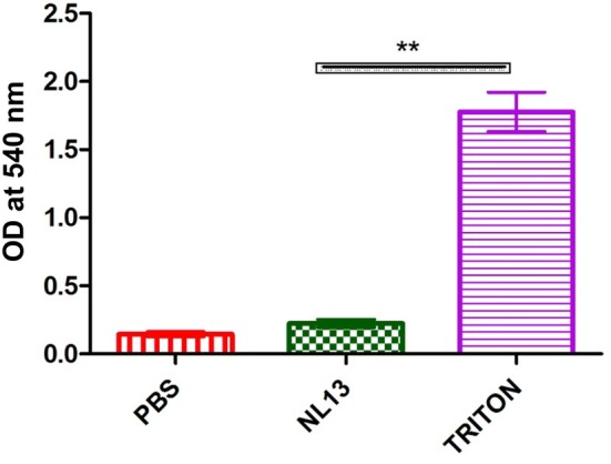 Fig. 3