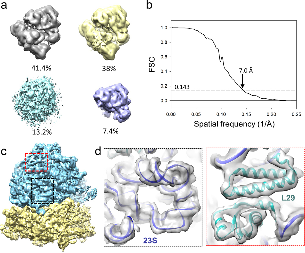 Figure 6 |