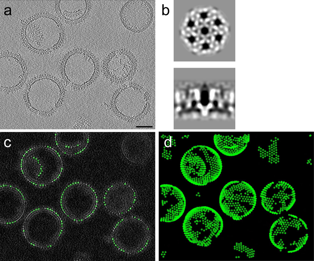 Figure 2 |