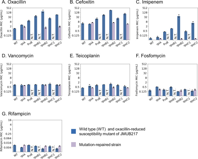 Graphs plot MIC values for oxacillin, cefoxitin, imipenem, vancomycin, teicoplanin, fosfomycin, and rifampicin across WT, oxacillin-reduced susceptibility mutants carrying rpiA, fruB, rpoB, and rpoC mutations and mutation-repaired strains.