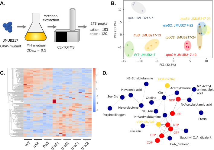 CE-TOFMS on JMUB217-derived mutants with reduced oxacillin susceptibility yields 273 peaks. Metabolite distribution in WT and its derivative mutants is presented in PCA plot. Heat maps and the metabolite network for the mutants are illustrated.