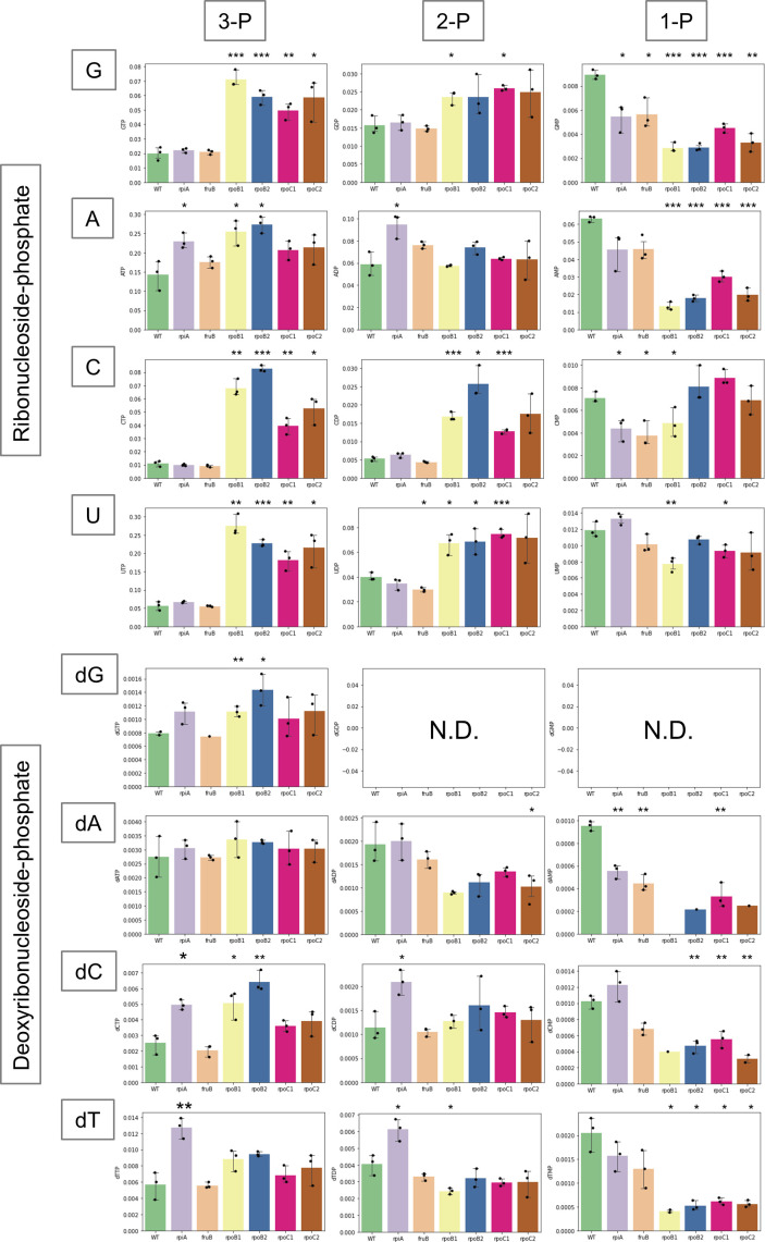 Graphs plot intracellular levels of ribonucleoside G, A, C, and U and deoxyribonucleoside dG, dA, dC, and dT for each phosphate group in six JMUB217 mutants with reduced oxacillin susceptibility.