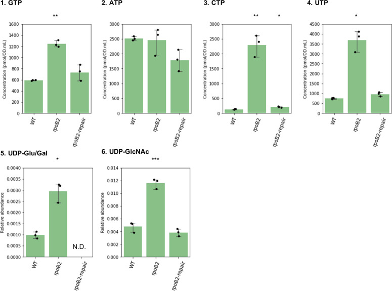 Graphs plot concentration versus WT, rpoB2, and rpoB2-repair for GTP, ATP, CTP, and UTP and relative abundance versus WT, rpoB2, and rpoB2-repair for UDP-Glu Gal and UDP-Glc NAc.