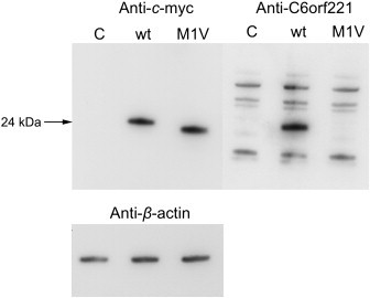 Figure 3