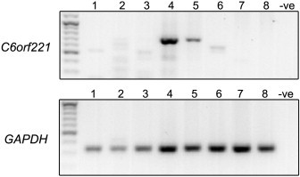 Figure 4