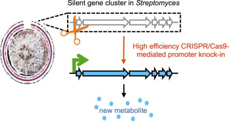 graphic file with name nihms843849u1.jpg