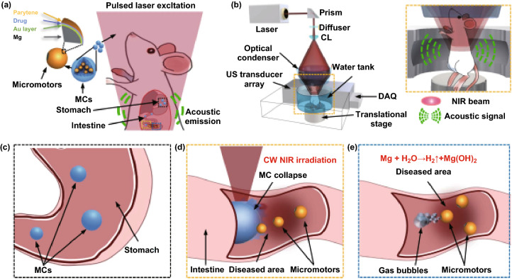 Fig. 4