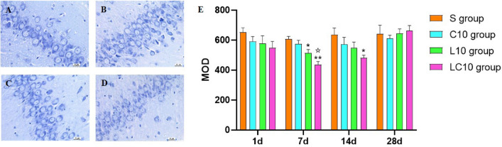 Figure 5