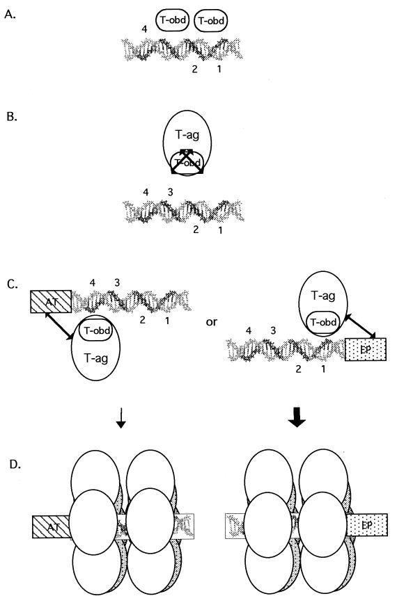 FIG. 11