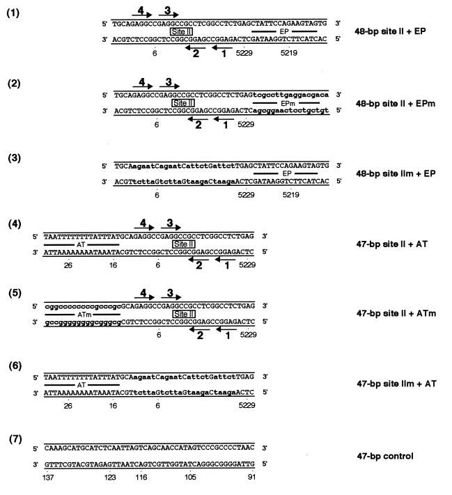 FIG. 8