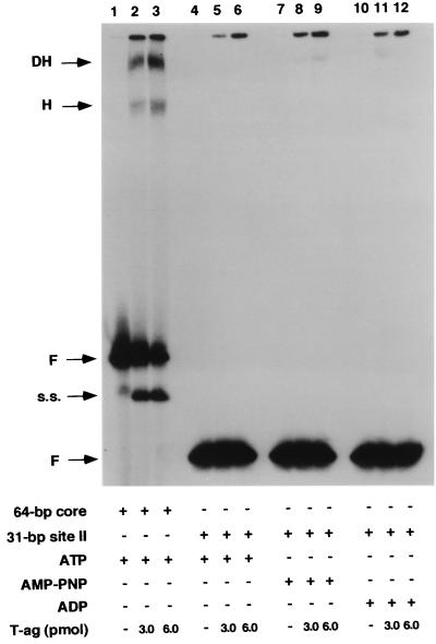 FIG. 6