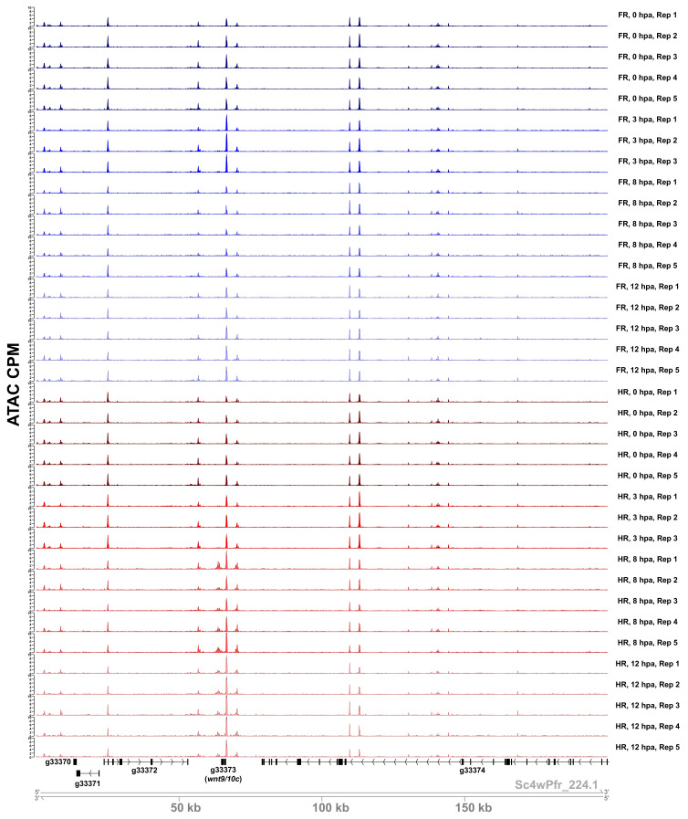 Figure 1—figure supplement 2.