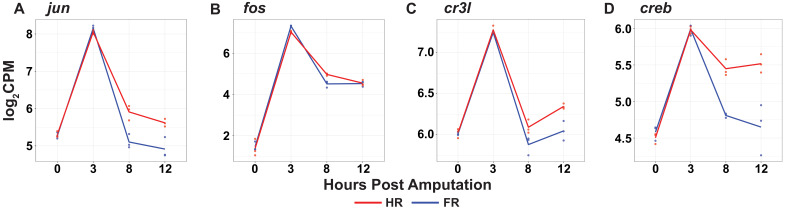 Figure 4—figure supplement 1.