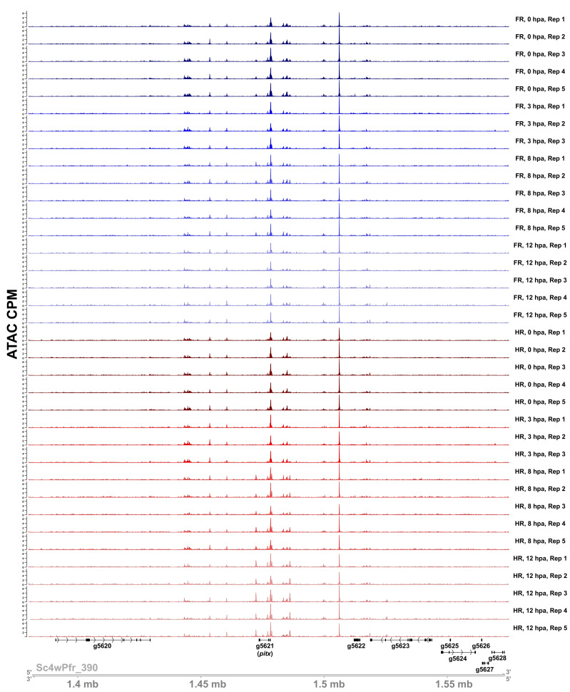 Figure 1—figure supplement 3.