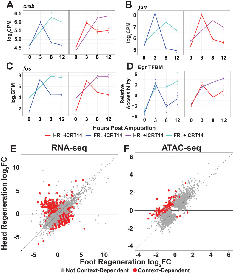 Figure 3—figure supplement 2.