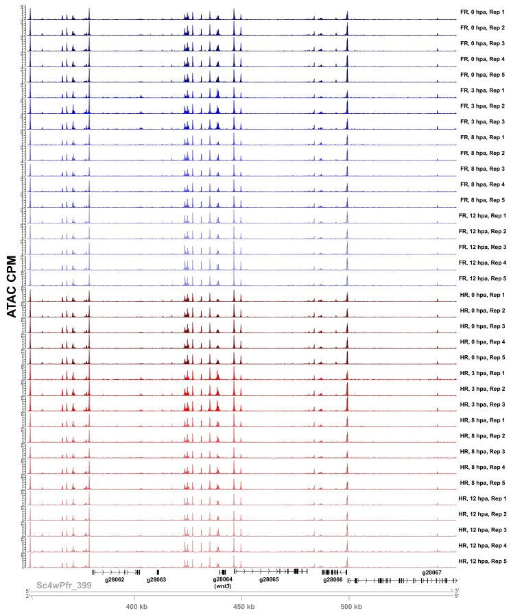 Figure 1—figure supplement 1.