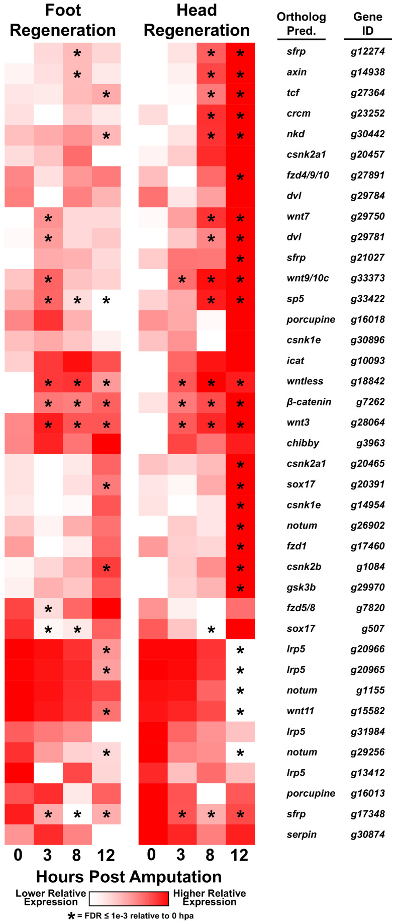 Figure 2—figure supplement 1.