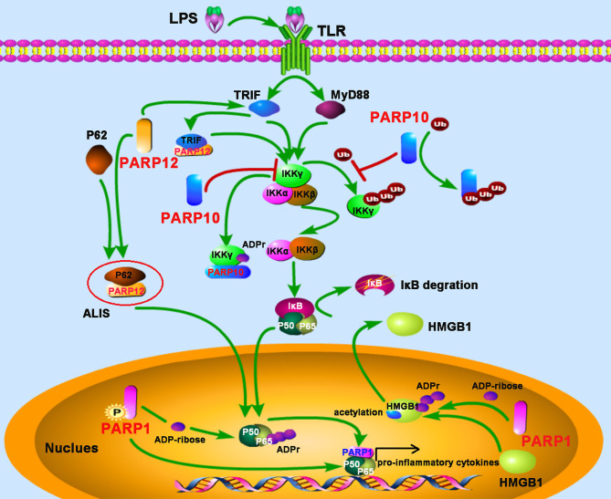 Figure 3