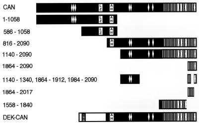 FIG. 7