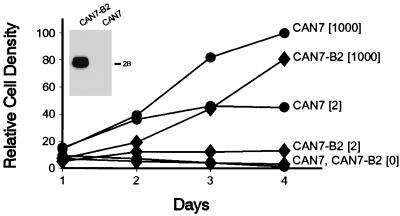 FIG. 3