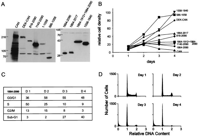 FIG. 8